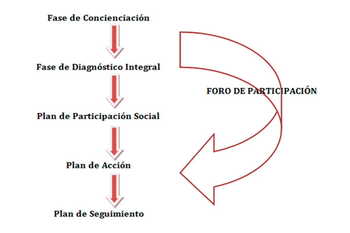 Imagen descriptiva de las fases de la Agenda 21