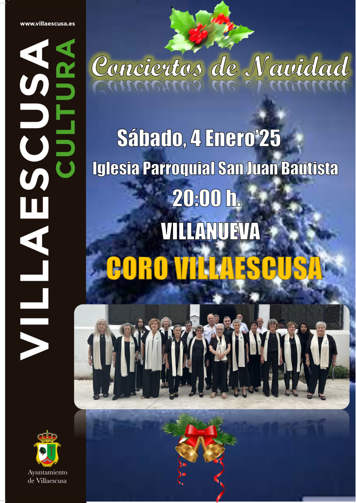 cartel concierto